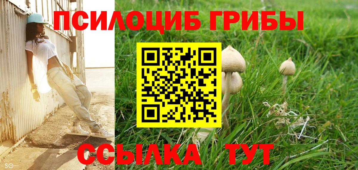 Волгоград  купить наркотики сайты  Вход с VPN  Галлюциногенные грибы Cubensis 