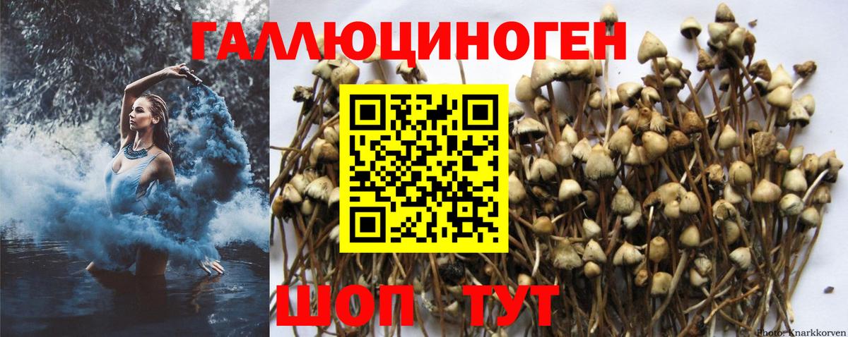 Псилоцибиновые грибы Magic Shrooms Волгоград